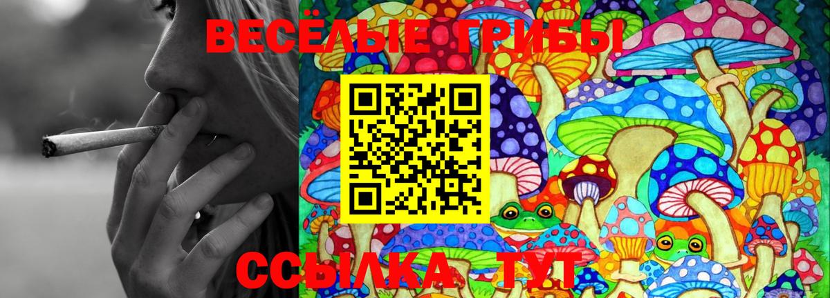 Галлюциногенные грибы Magic Shrooms  где найти   Нарткала  Вход с VPN 